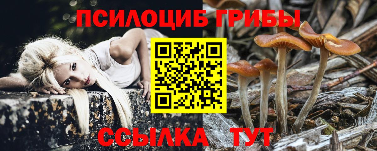 Кимовск  Канабис  Вход с VPN  Меф МЯУ МЯУ кристаллы  Cocaine  ГАШИШ  Гашиш 